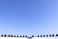 豪雪後の青空