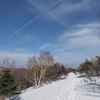 ほんとの空