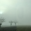 霧のピエモンテ