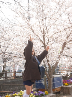 祝 入園！