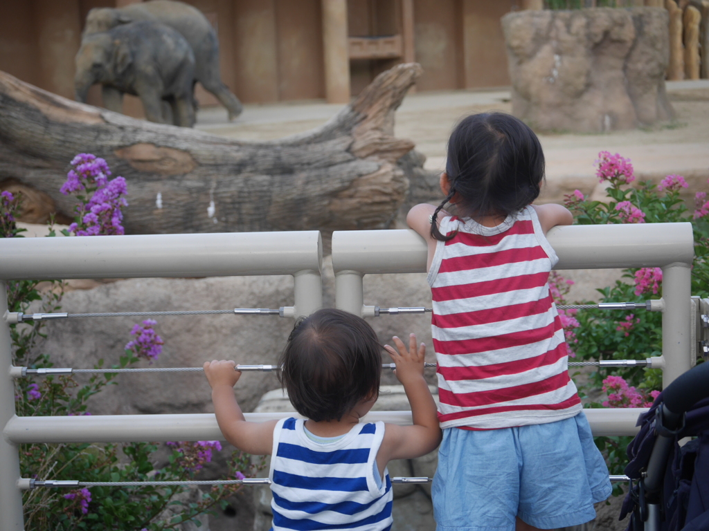 動物園