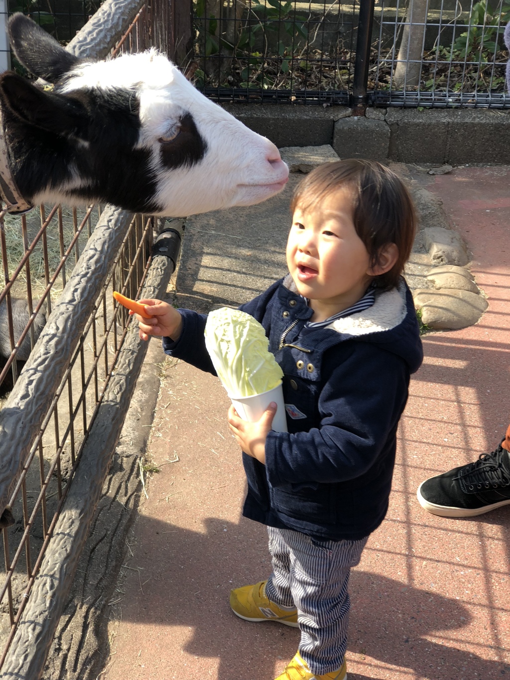 「にんじん どーじょ」