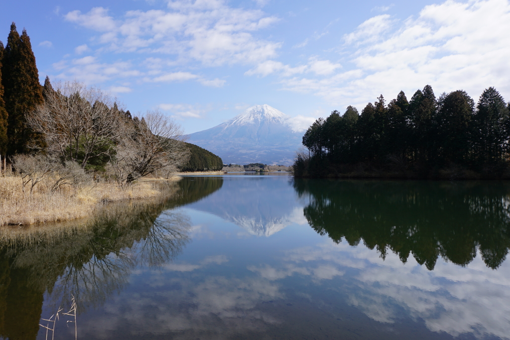 逆さ富士