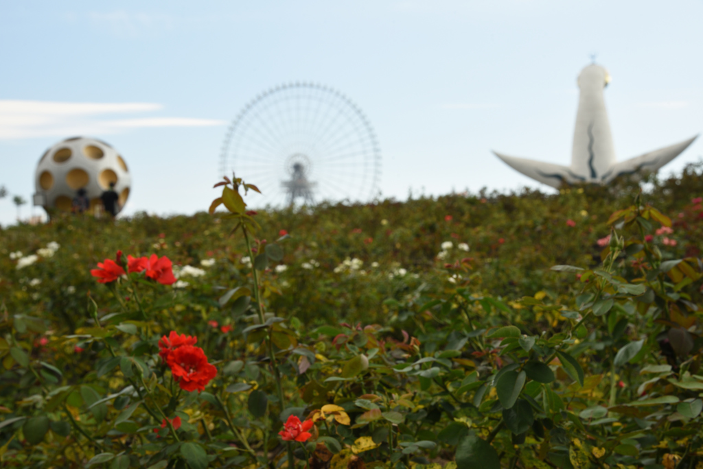 夏も終わりの大阪万博記念公園