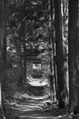 kukeiji1
