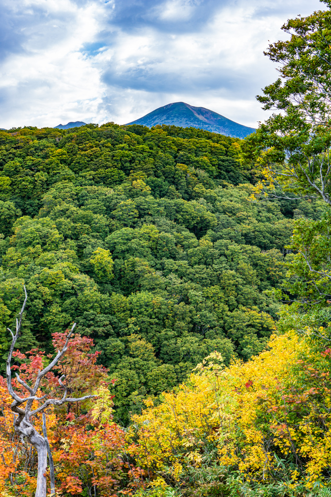 八甲田山