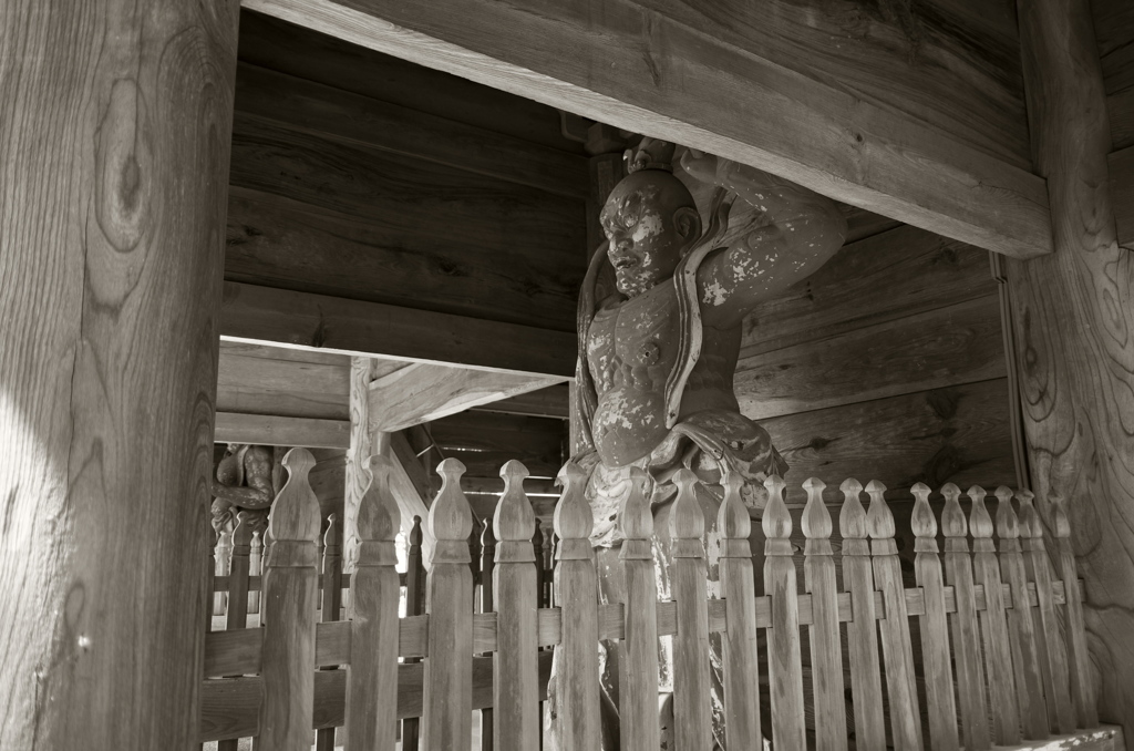 sorinji1