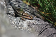 20190507104848_IMG_0104