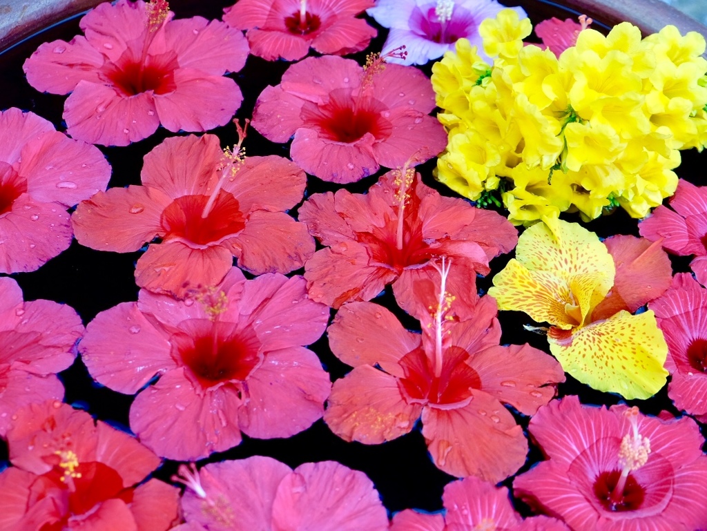 花