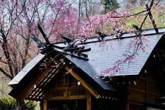 神社