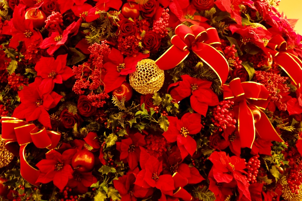 世間はクリスマスだね
