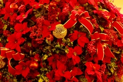 世間はクリスマスだね