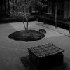 京都 建仁寺 ◯△◻︎の庭
