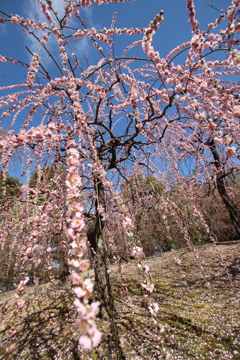 城南宮