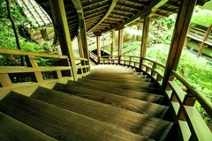 永観堂禅林寺