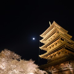 東寺