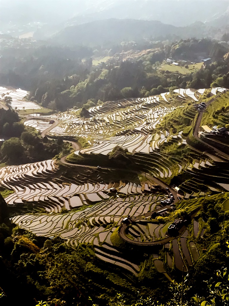 丸山千枚田