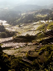 丸山千枚田