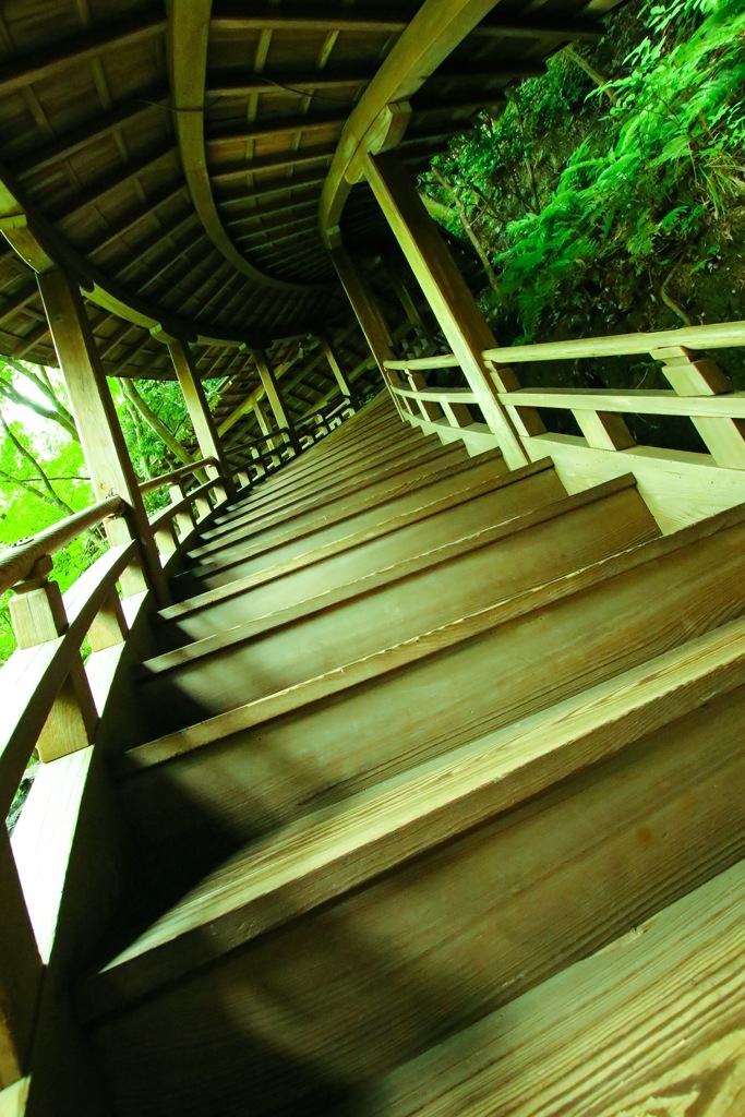 永観堂禅林寺