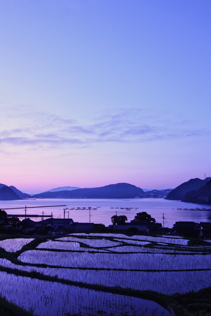 日引棚田
