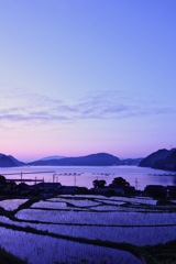日引棚田