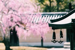 大覚寺