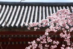 醍醐寺