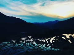 丸山千枚田