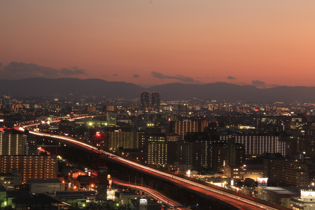 東大阪市役所本庁舎