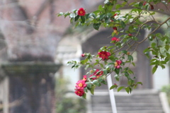 南禅寺