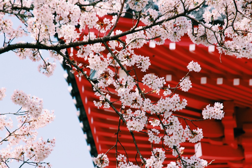 大覚寺