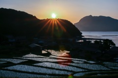 日引棚田