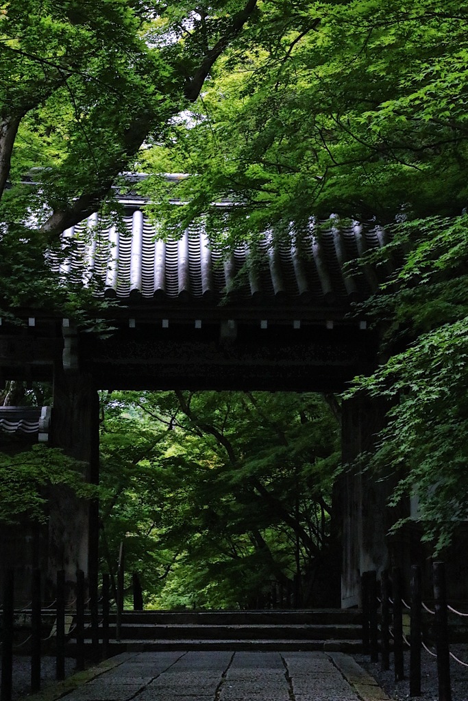 光明寺