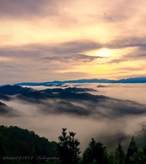 雲海