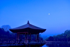 奈良公園 浮見堂