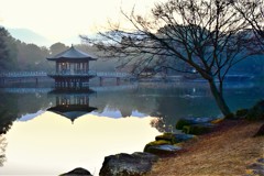 静かな浮見堂の朝