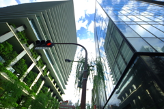 銀座の中の蛙　されど空と硝子の蒼を知る