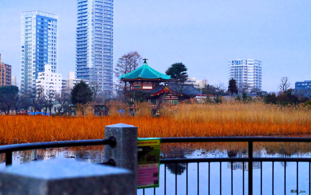 街の中に棲む歴史