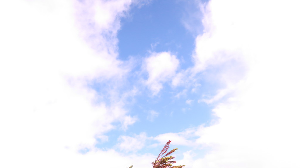 雲の隙間から