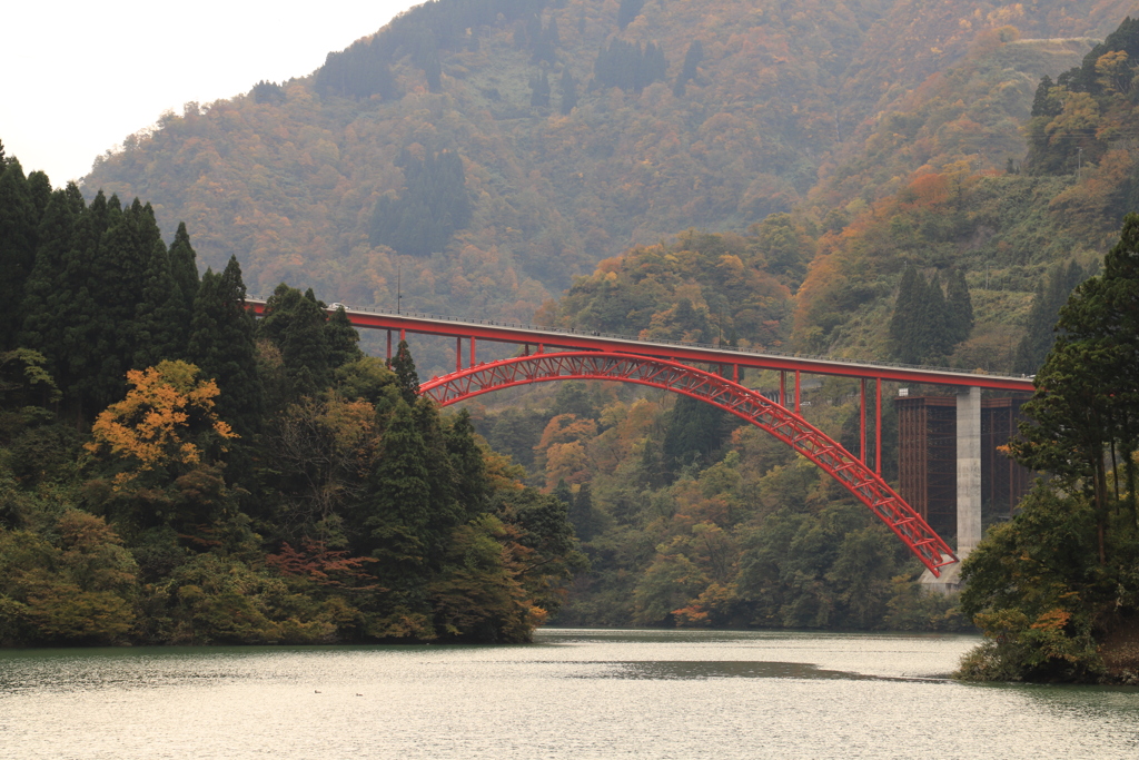 利賀大橋手前で引き返し