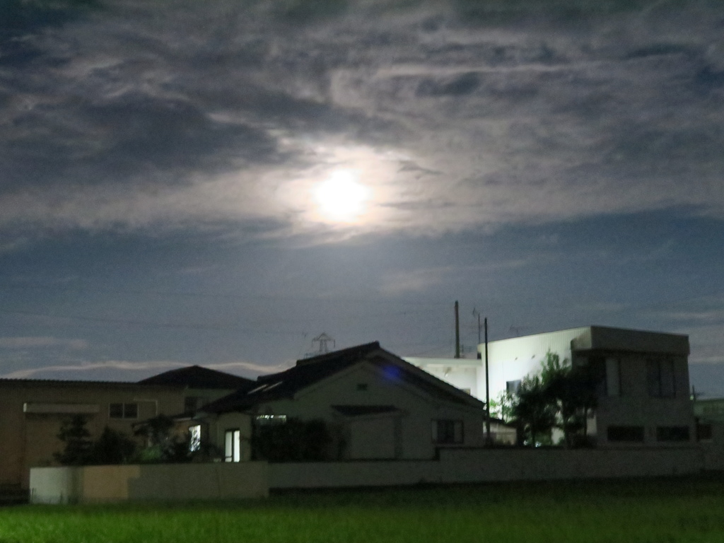 今日は満月