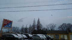 通勤途中のひとコマ