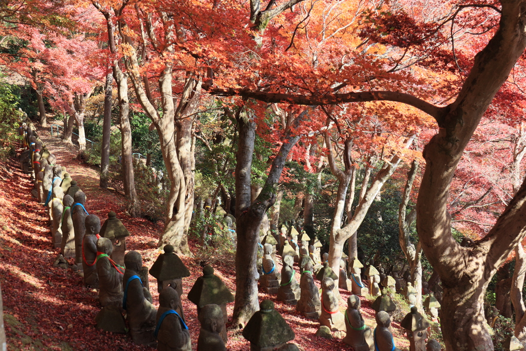 五百羅漢（後ろから）