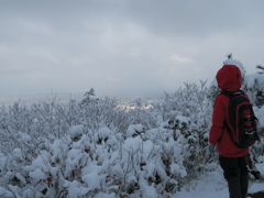 雪の向こうに富山平野