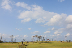 のどかな風景