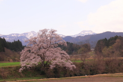 エドビガンと袴山