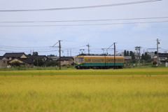 かぼちゃくんもやってきた♪