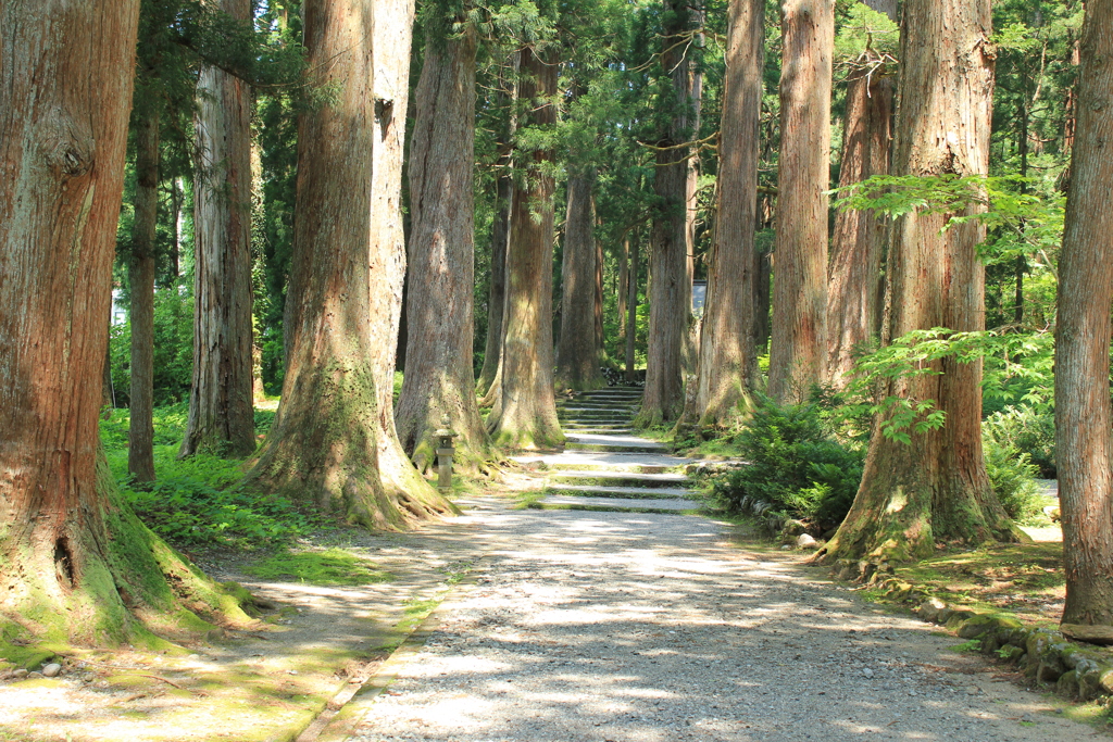 とがの並木