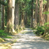 とがの並木