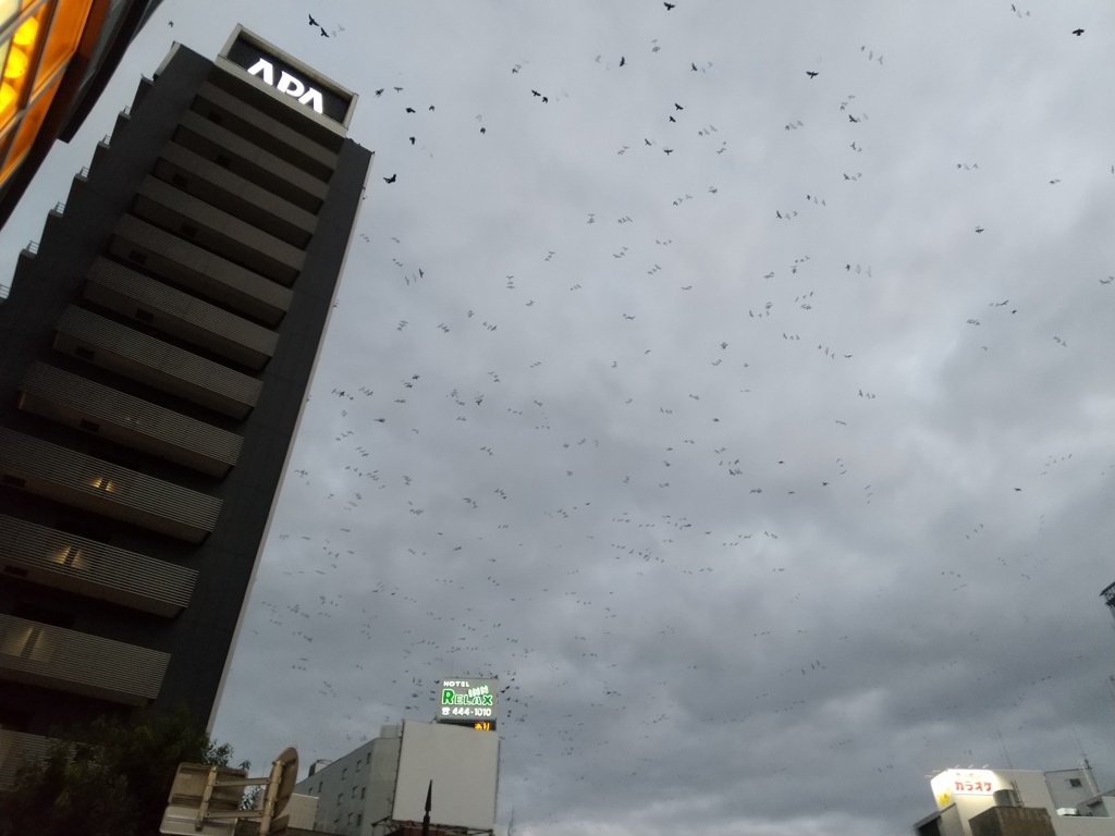 何千羽ものカラス